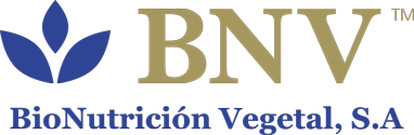 BNV logo