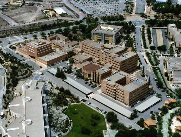 Veterinary Faculty Veterinary Faculty
