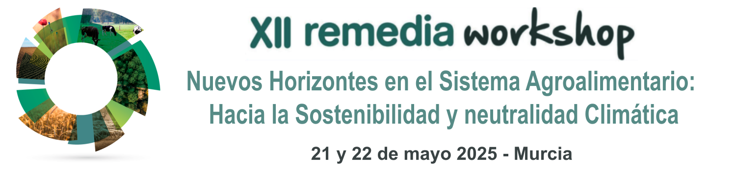 Cabecera del Workshop