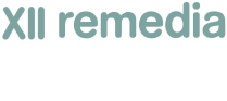 XII WORKSHOP REMEDIA logo