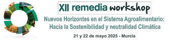 XII Remedia Workshop 2025